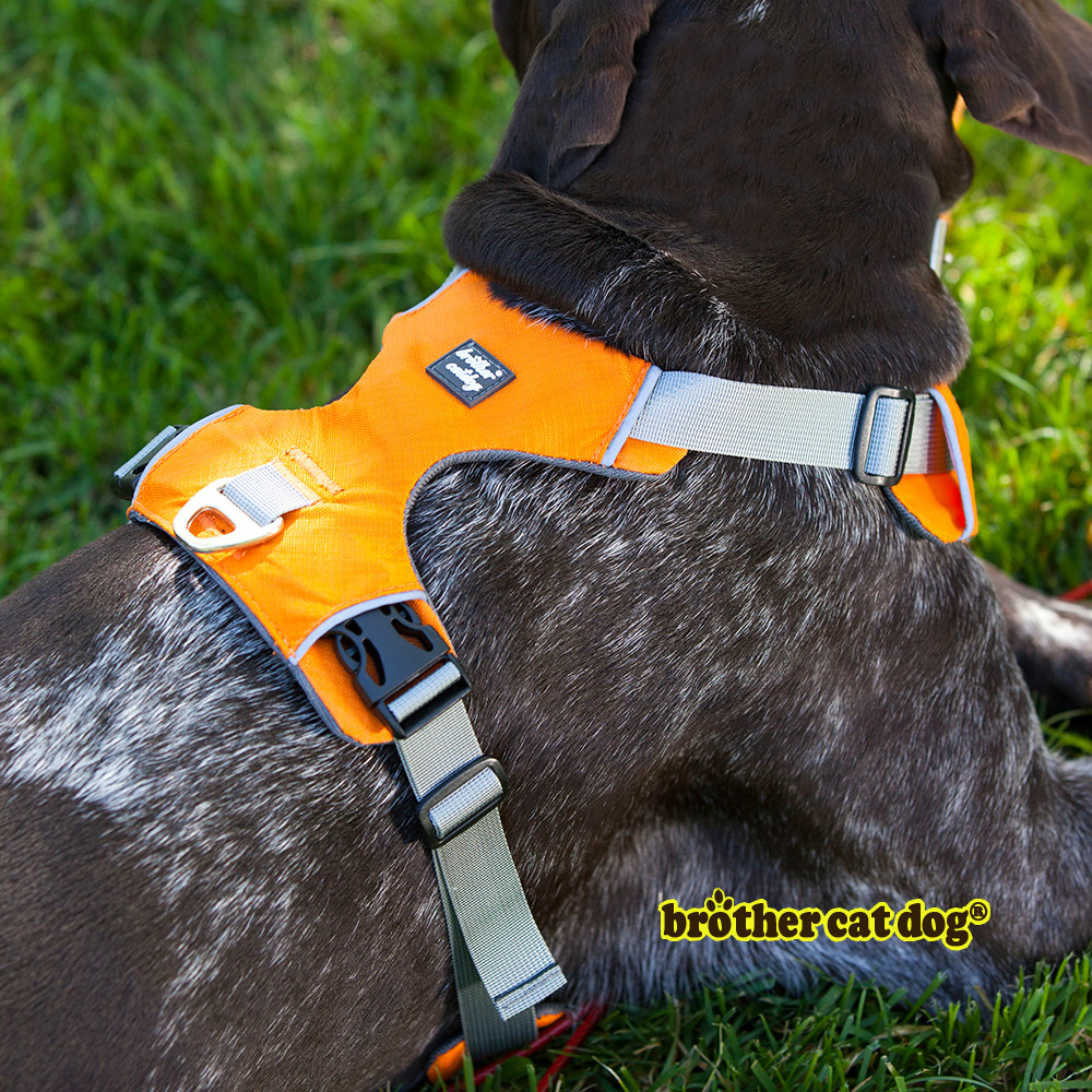 Large Chest Straps Firm Pet Harness Recycled Pulling Training Harness