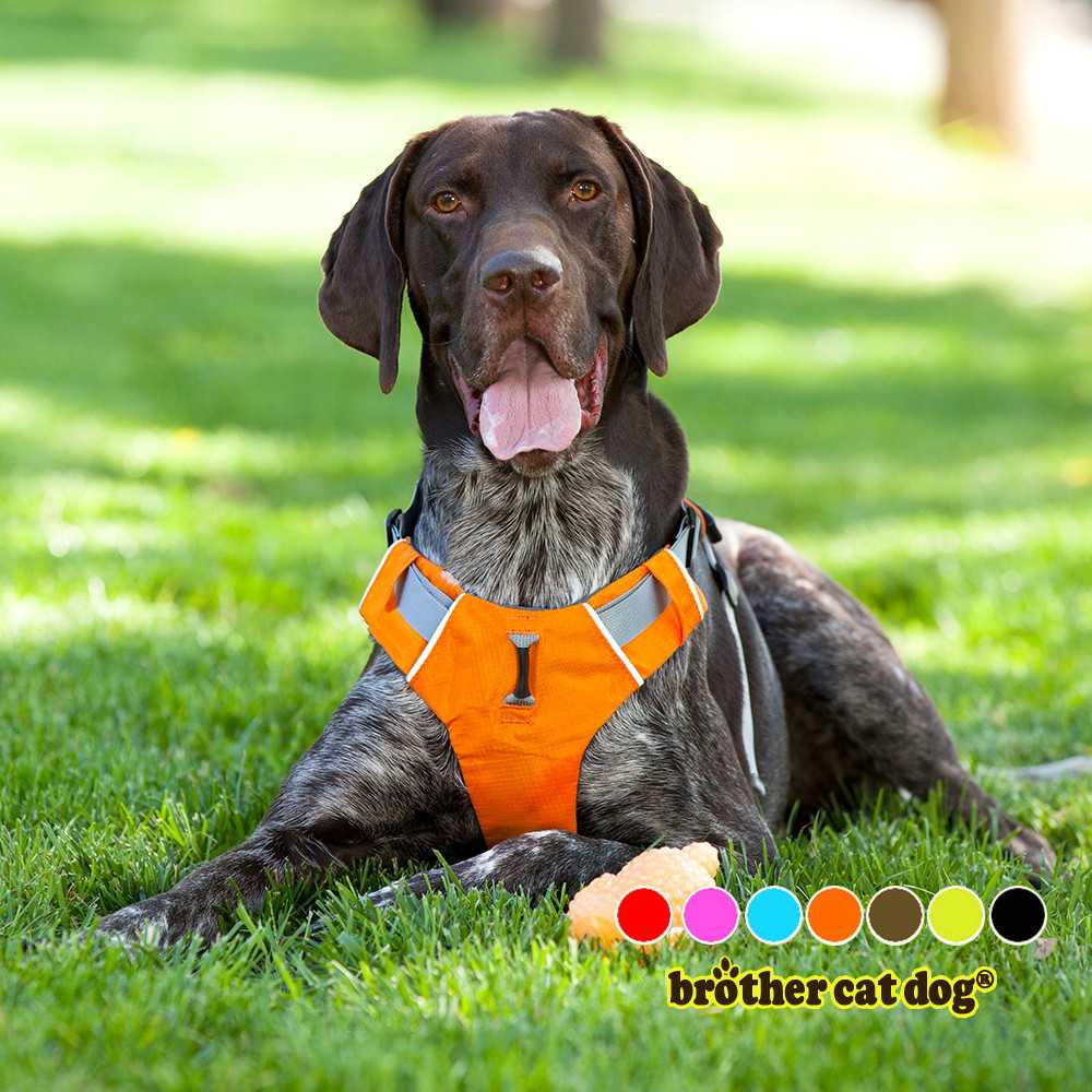 Large Chest Straps Firm Pet Harness Recycled Pulling Training Harness