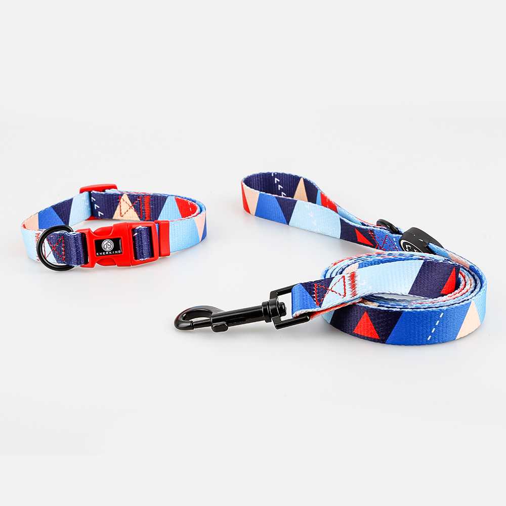 Large Stock Fast Delivery Collar Leash Set Dog Products Accessories Custom Pet Dog