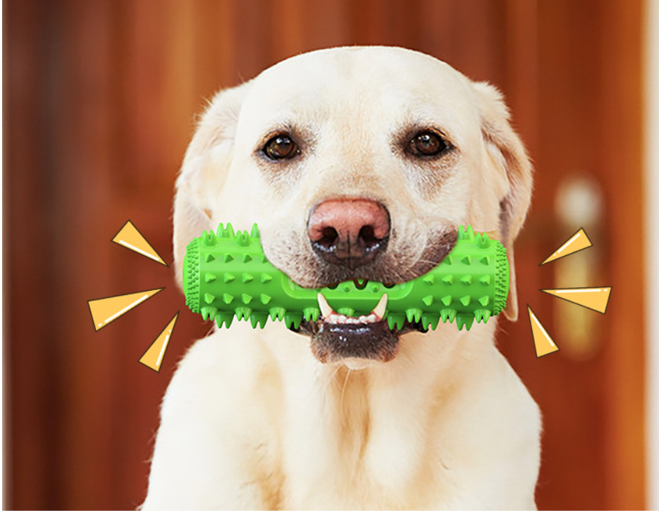 Latest Amazon Ing TPR Biteresistant Teeth Cleaning Molar Leak Food Bone Stick Pet Dog Toothbrush Chew Toy