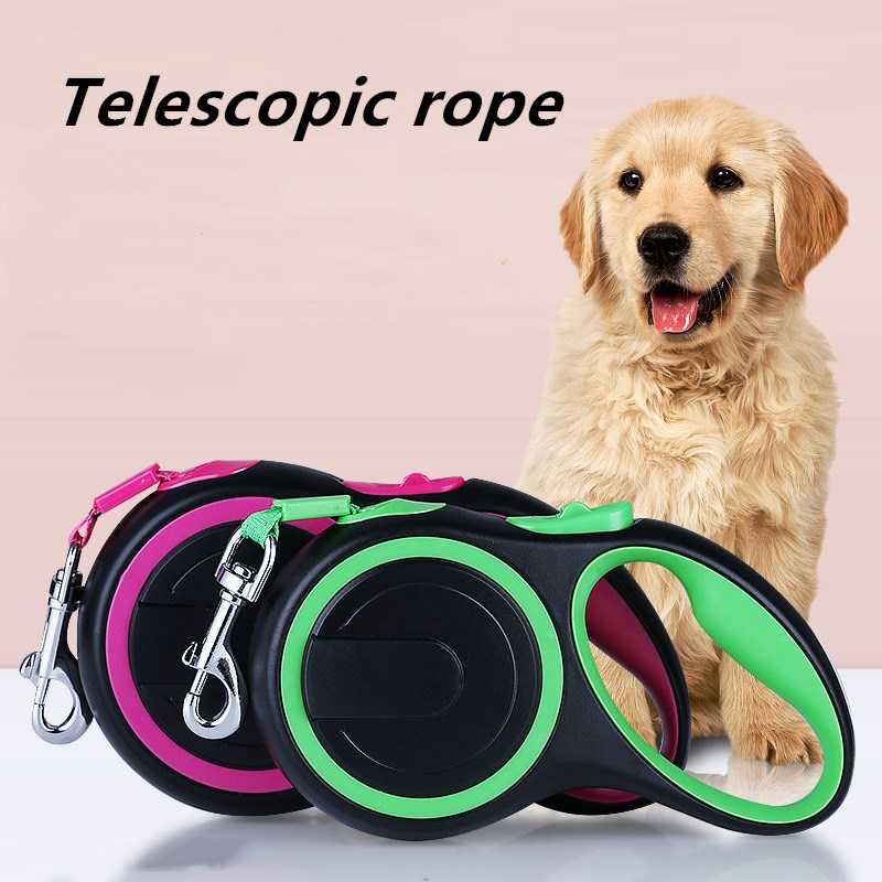 Leash Collar Chain Gold Laser Dog Seat Oem Steel Belt Stainless Logo Scarf Lead Pattern Pet