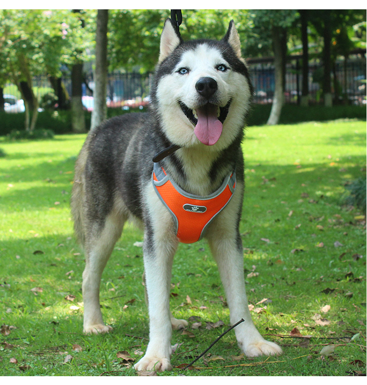 Lightweight No Pull Dog Harness Adjustable Breathable Pet Oxford Material Vest Large Dog Medium Dog Orange Blue