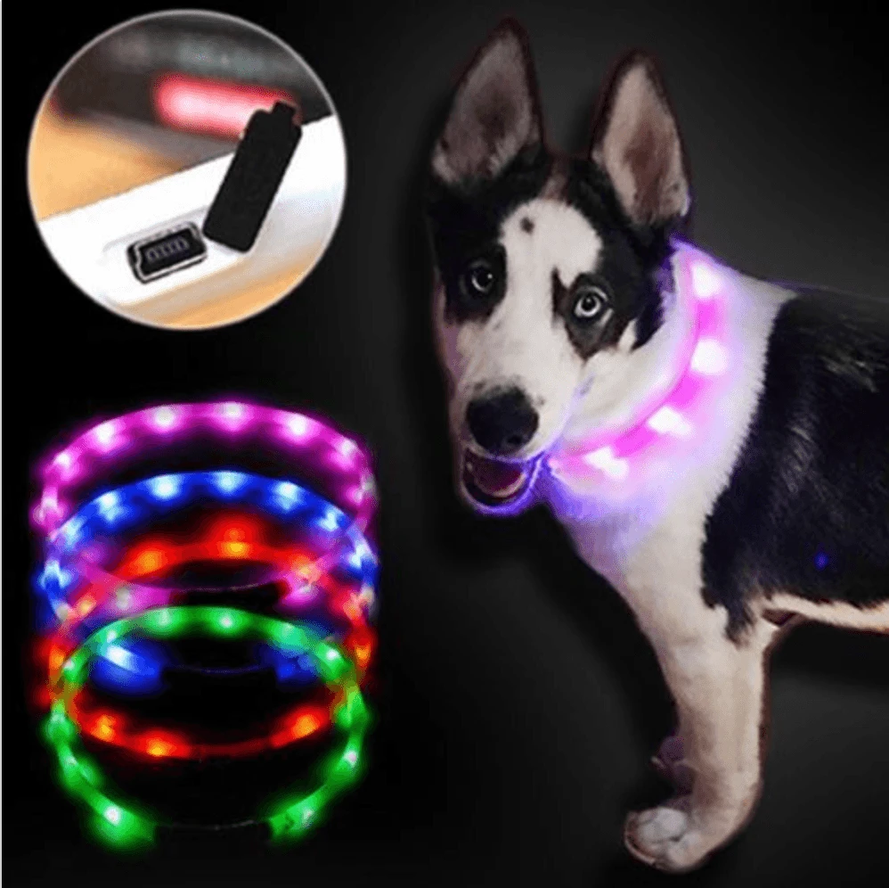 Manufacturer LED Dog Collars Led Light Rechargeable Waterproof Reflective Custom Pet Dog Collar