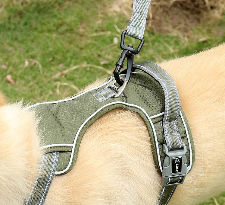Manufacturers Adjustable No Pull Strong Nylon Dog Leashes Reflective