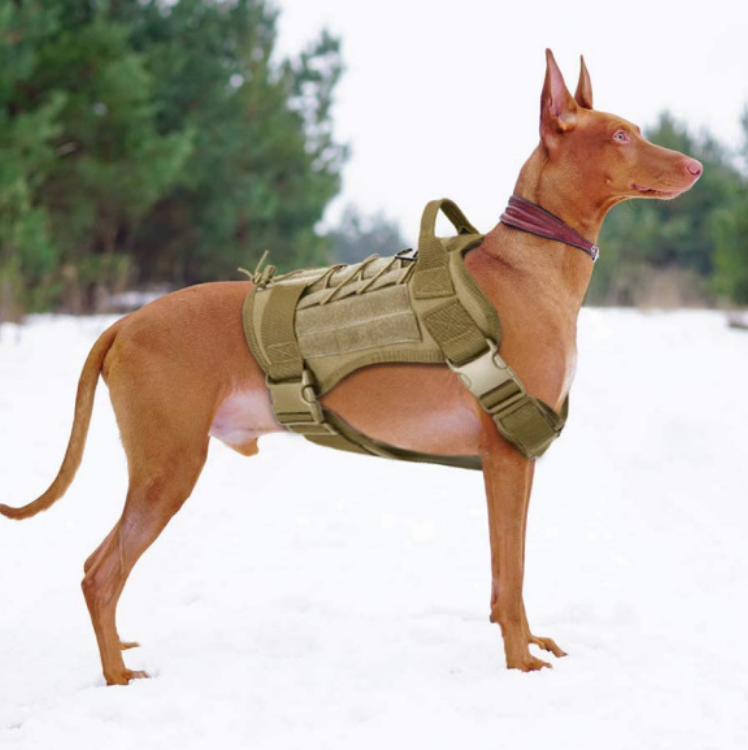 Military Pitbull No Pull Large Tactical Dog Training Harness