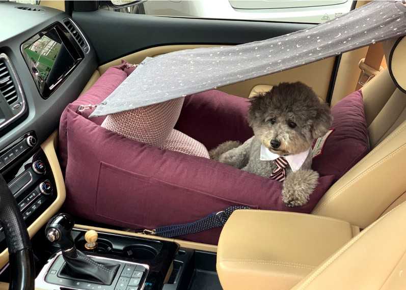 Multifunction Dog Car Seat With Safe Belt Dog Leash Inside Open Zipper To Be Sofa Bed In House