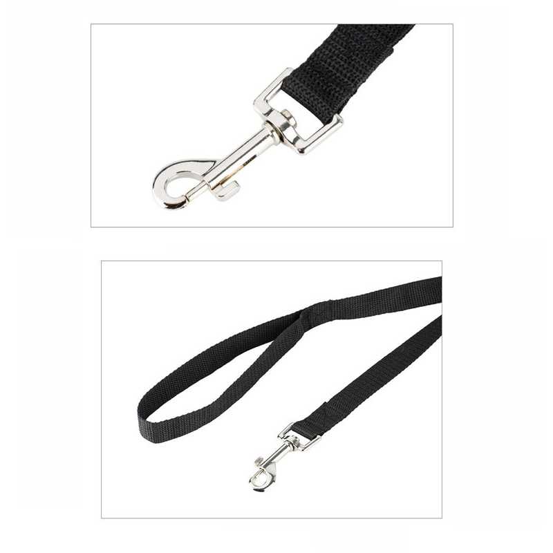 Multiple Sizes Pet Pull Rope Dogs Recall Training Agility 6 15 20 30 50 100ft Leash Dog Training Leashes