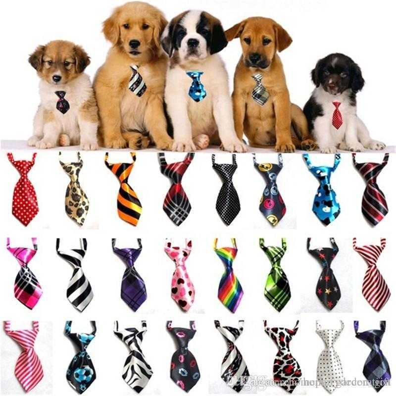 Nice Pet Tie Pet Accessories Suppliers In India