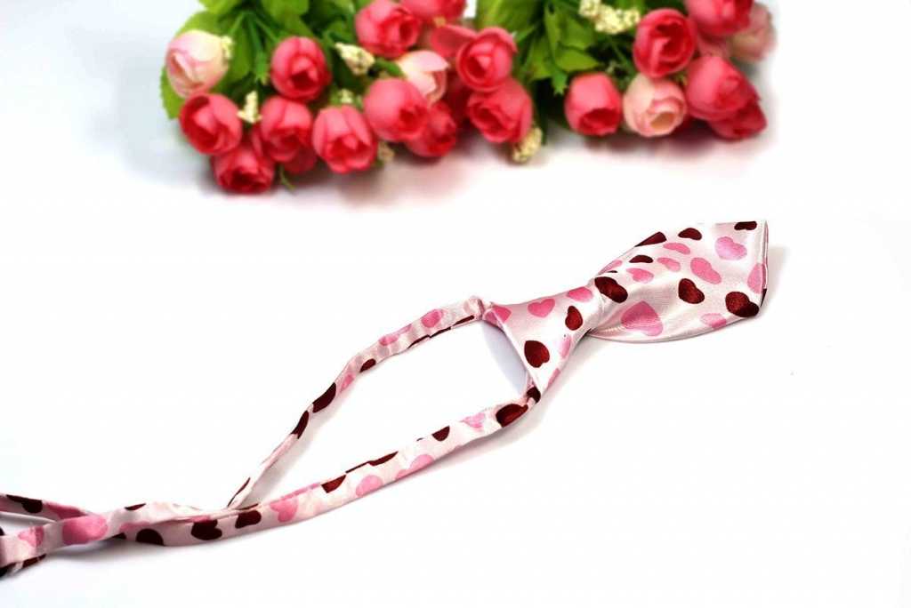 Nice Pet Tie Pet Accessories Suppliers In India