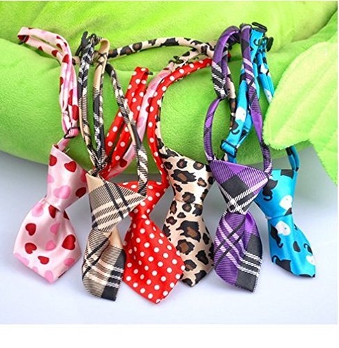 Nice Pet Tie Pet Accessories Suppliers In India