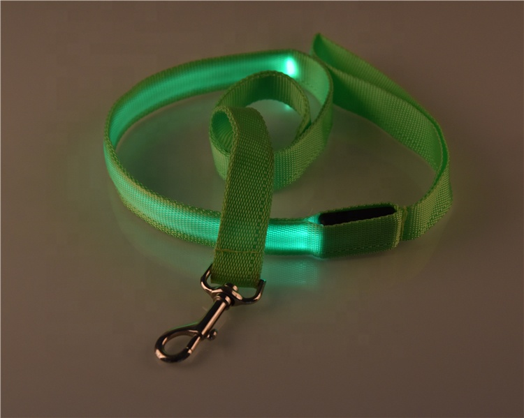 Night Safety Light Up Flashing LED Pet Dog Leash