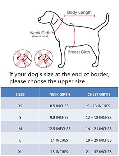 No Choke Comfort Control Dog Harness No Pull Padded Vest