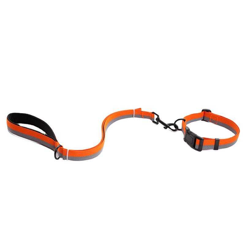 Nylon Dog Leash Collar Setwholesale Pet Dog Leash In Stock