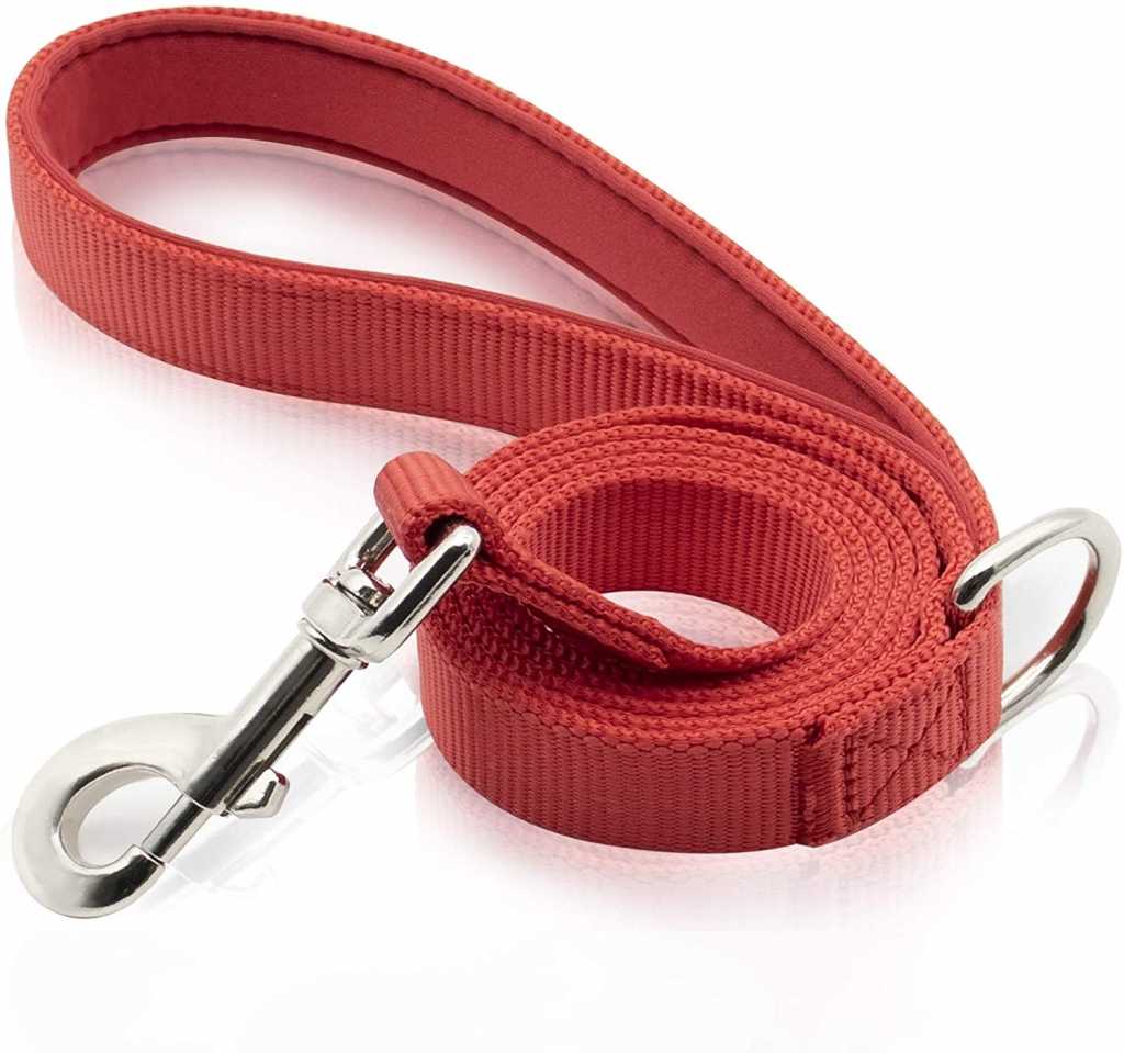 Nylon Harness Dog Leash Pet Walk