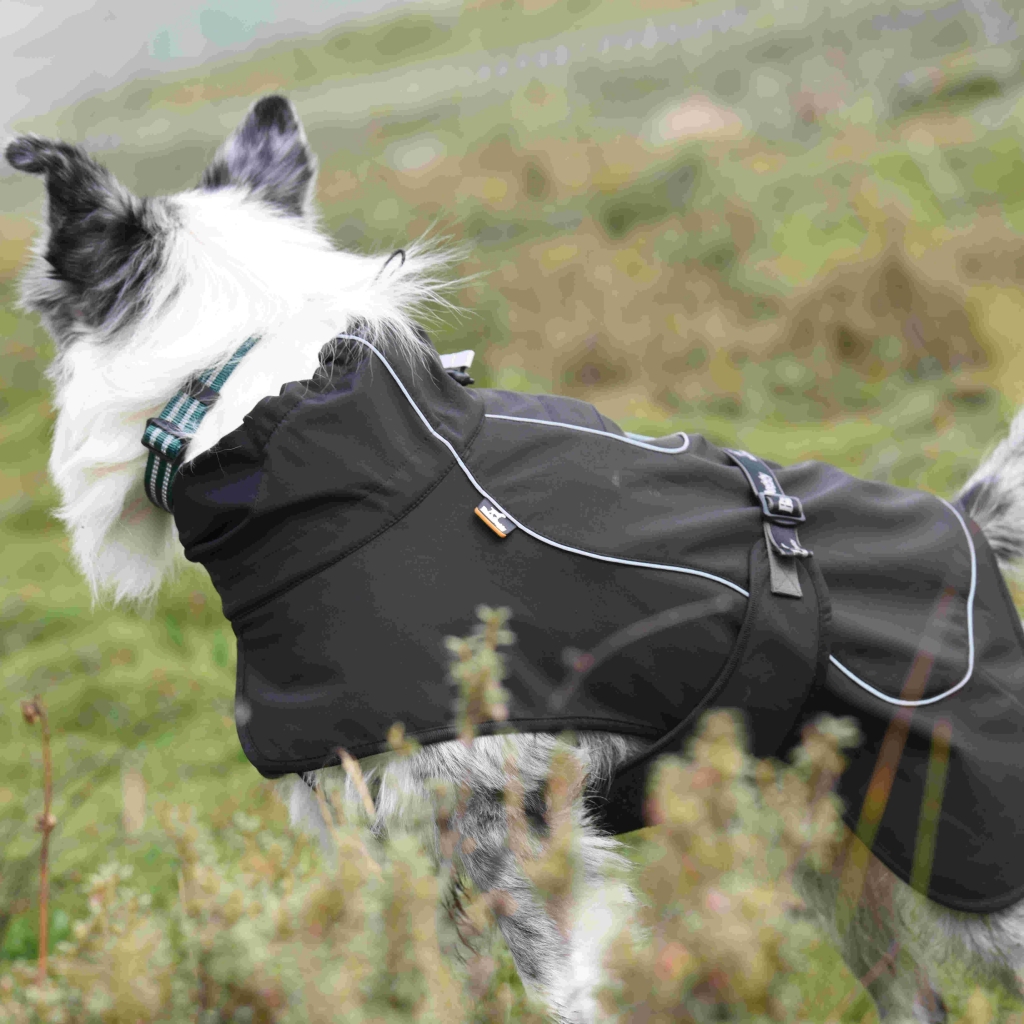 OEM Dog Hoodie China Elastic Outdoor Dogs Clothes