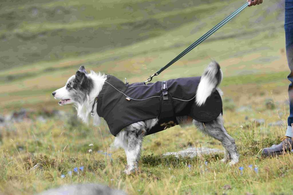 OEM Dog Hoodie China Elastic Outdoor Dogs Clothes