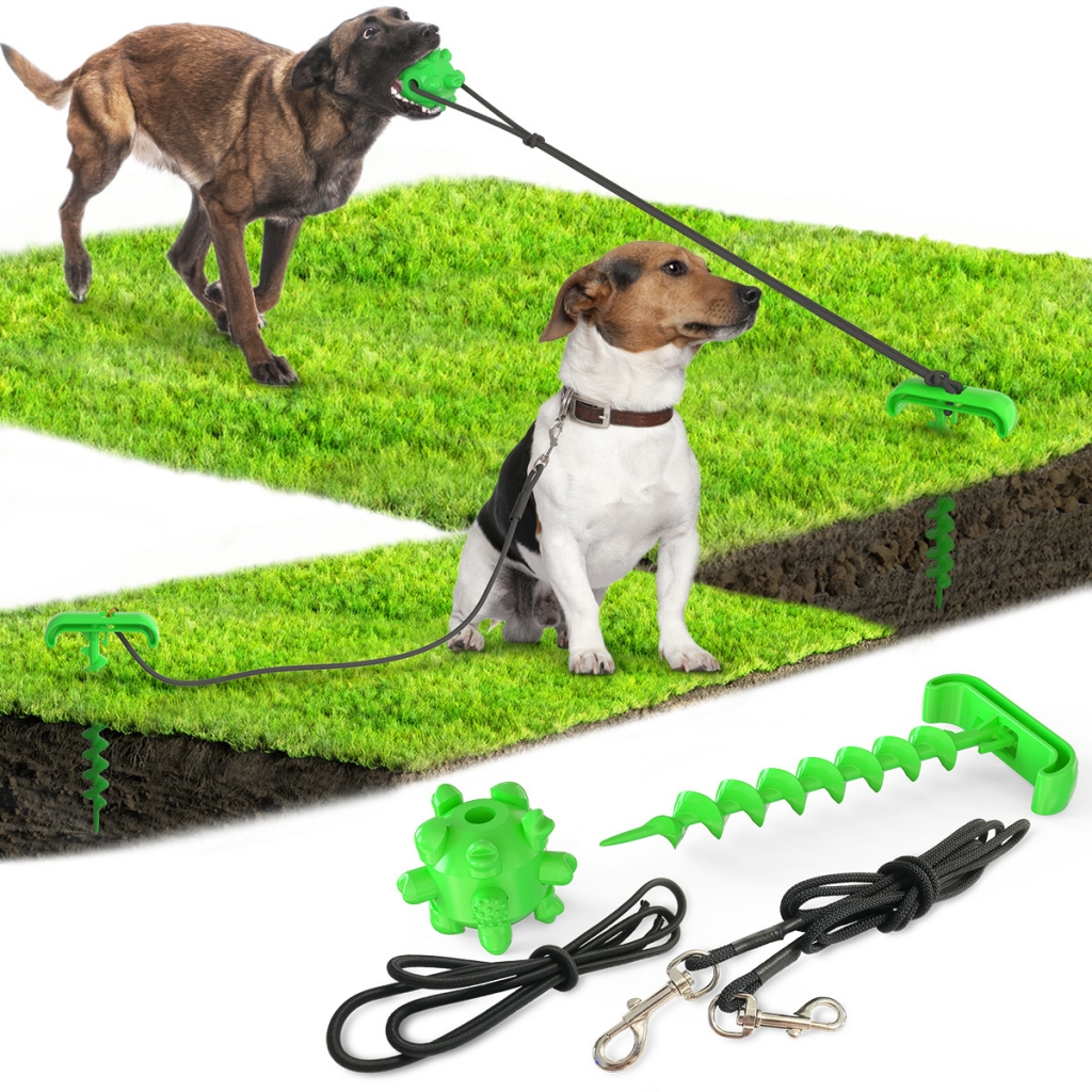OEM Pet Multifunctional Training Pet Lead Tool Plastic Chew Molar Rope Dog Toys Leash