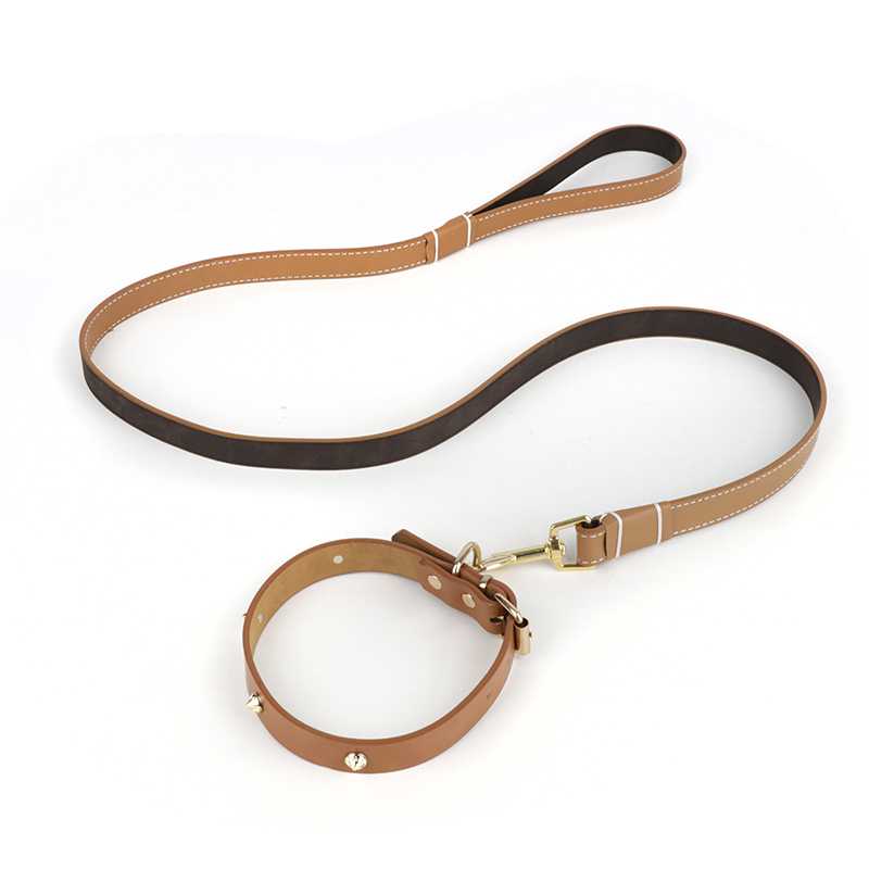 Oem Pet Outing Traction Rope Leather Dog Leashes Collars