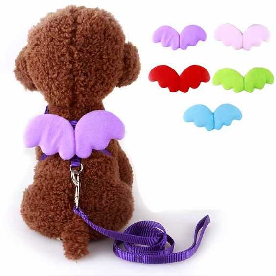 One Piece Dog Collars Straps Chic Angel Wing Rope Pets Harness Leashes Small Dogs Cats All Seasons Gear