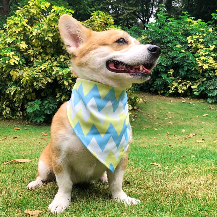 Outdoor Neckwear Scarf Washable Pet Dog Bandana With Package