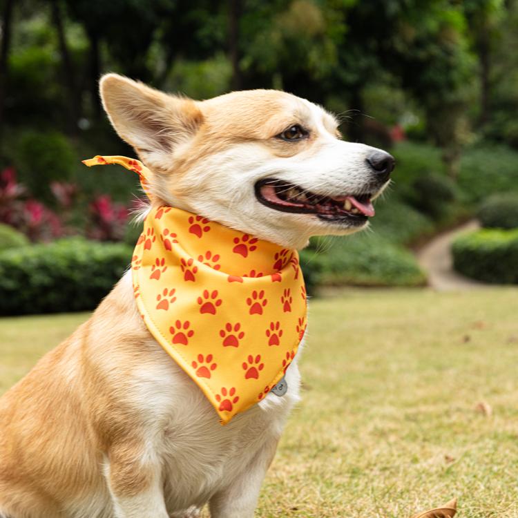 Outdoor Neckwear Scarf Washable Pet Dog Bandana With Package