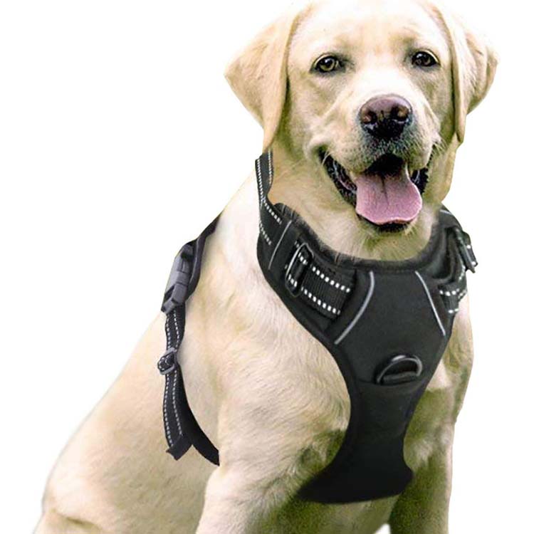 Outdoor Training Adjustable No Pull Pet Vest Dog Harness