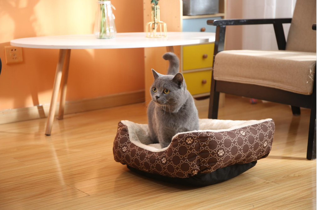 Pawise Washable Comfortable Pet Bed Heated Durable Soft Fabric Memory Foam With Vintage Printing Pet Bed Dog Cats