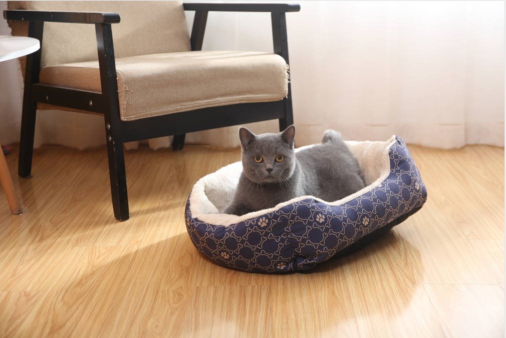 Pawise Washable Comfortable Pet Bed Heated Durable Soft Fabric Memory Foam With Vintage Printing Pet Bed Dog Cats