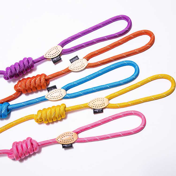 Personality Whole Sale Lighter Pet Leashes Nylon Circle Lock Or Metal Hook Replaced Pet Dog Riot Travel Colar Size S