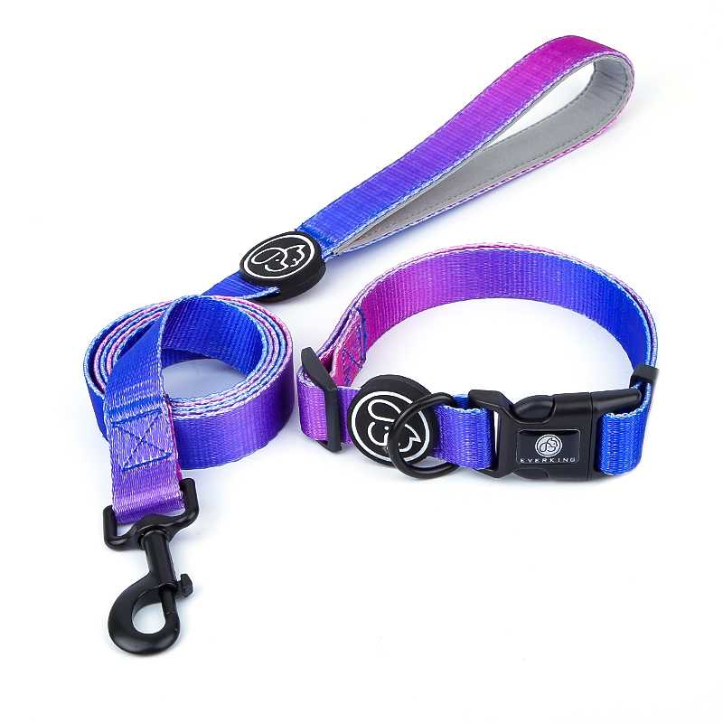 Personalized Nylon Dog Collar Leash Set Purple Color Pet Collar Leash With Rubber Logo