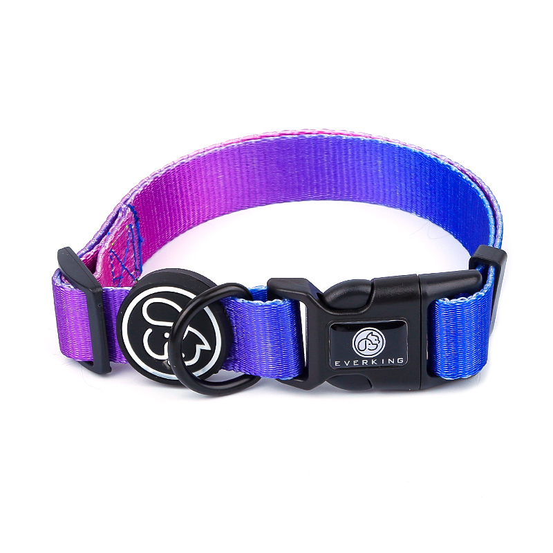 Personalized Nylon Dog Collar Leash Set Purple Color Pet Collar Leash With Rubber Logo