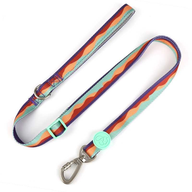 Pet Accessories Dog Lead Pet Leash Customize Dog Leash