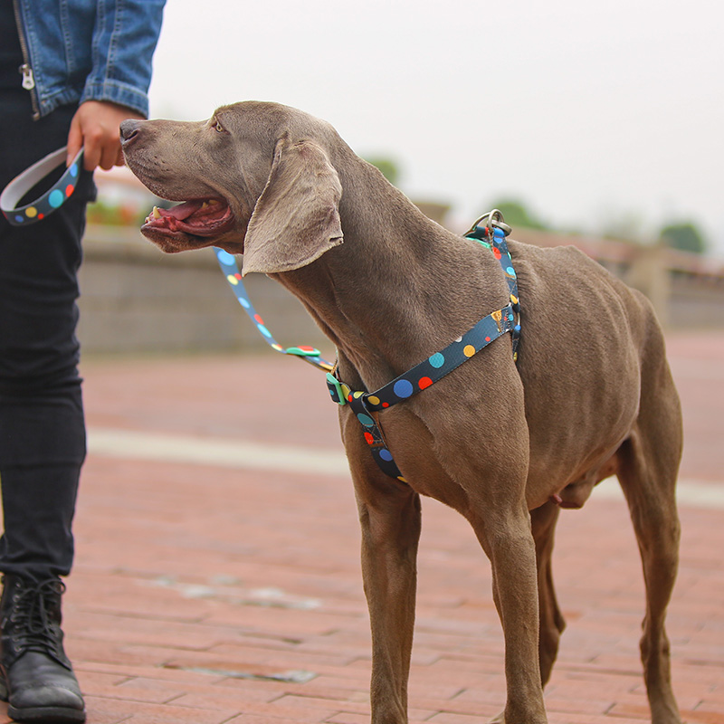 Pet Accessories Dog Lead Pet Leash Customize Dog Leash