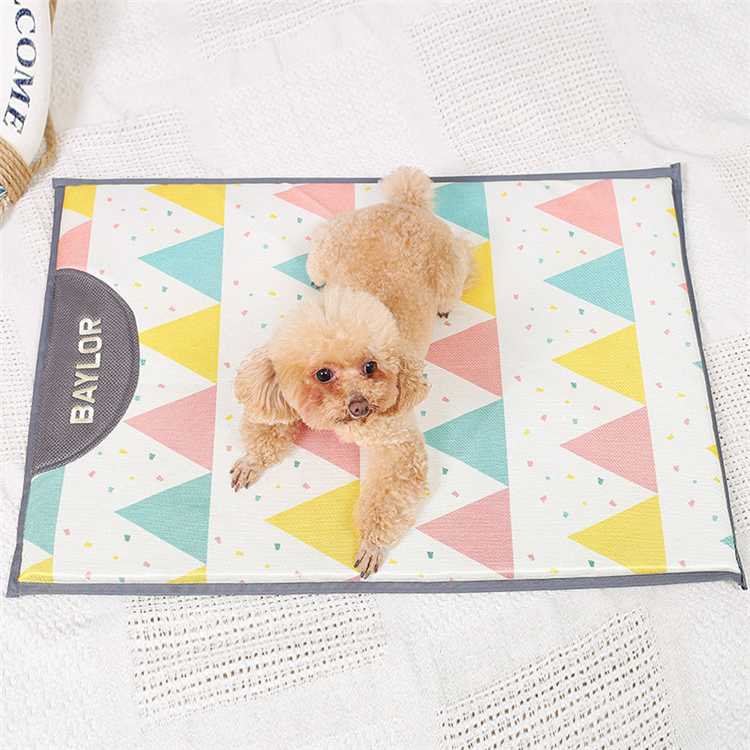 Pet Bed Summer Cartoon Soft Mattress Pet Cooling Ice Mat Pad Bed Accessories