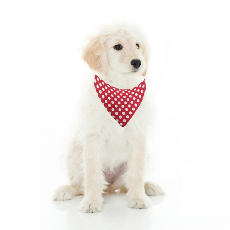 Pet Bow Custom Print Pet Supplies Dog Bandana Collar