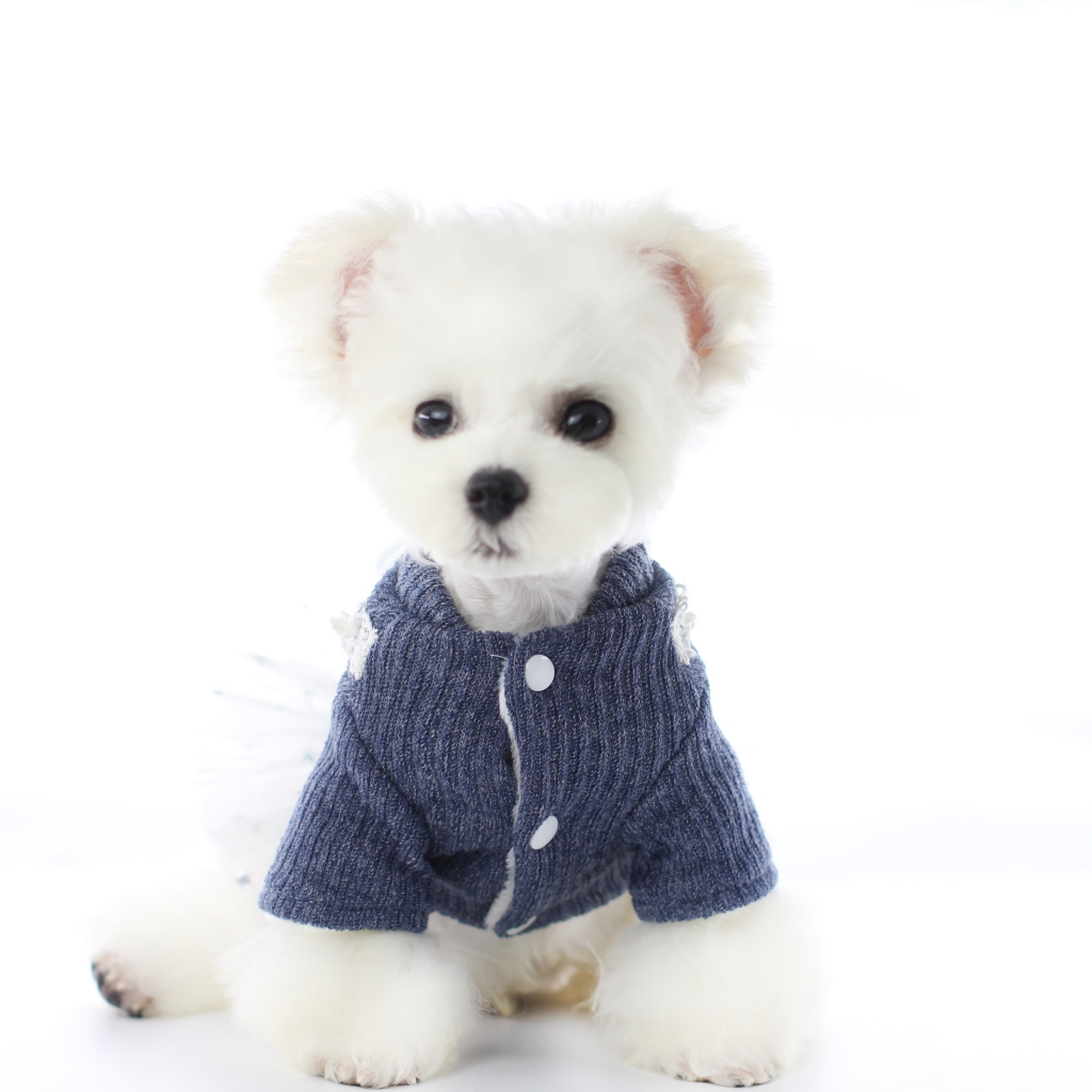 Pet Clothes Dogs Cats Warm Soft Winter Sweater Pet Winter Clothes