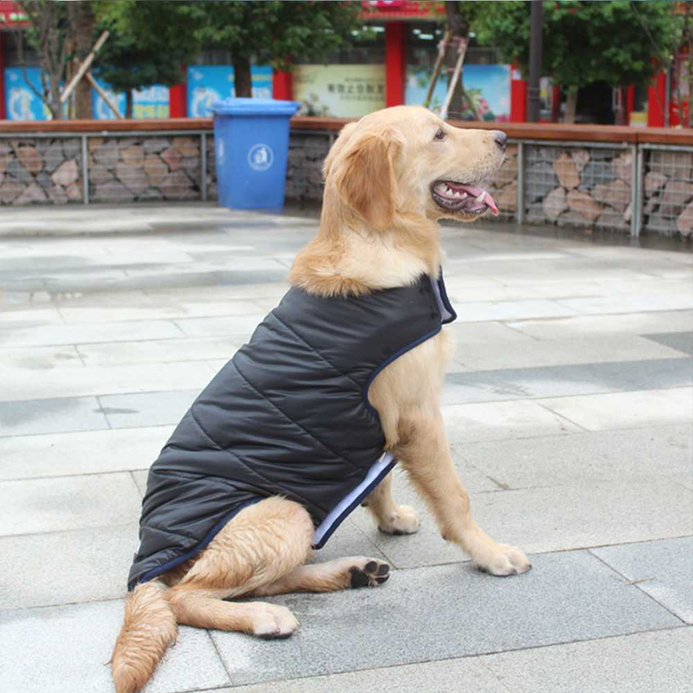 Pet Clothes Supplies Amazon Double Side Wear Dog Outfits Pet Clothing