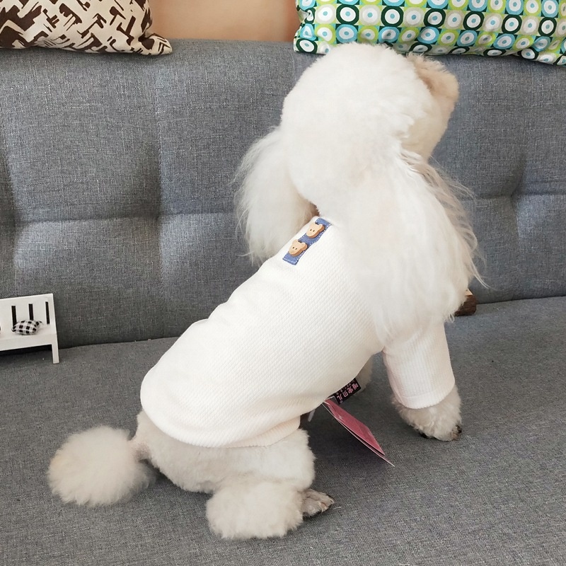 Pet Coats Autumn Products Leisure Twolegged Custom Dog Sweater Knitted Bottoming Shirt Dog Summer Clothes
