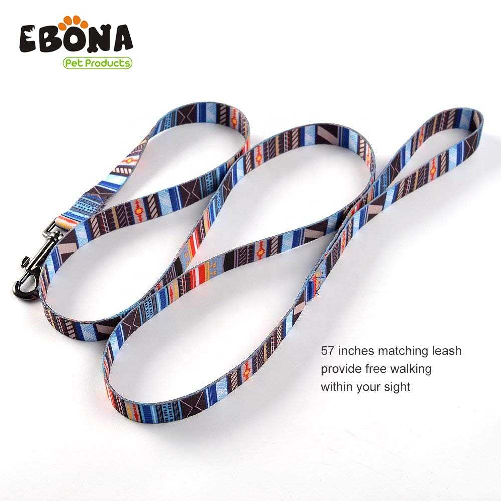 Pet Collars Lead Setdog Collar Leash Setdog Collar Leash