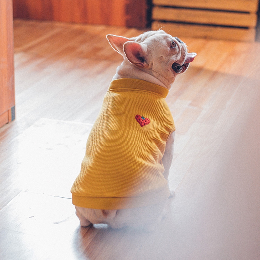 Pet Dog Cat Clothes Cute Sweater Cute Clothes Coat Jacket Dogs Cats Apparel