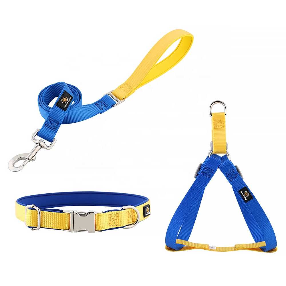 Pet Dog Mix Colors Pure Nylon Collar Leash Harness SET