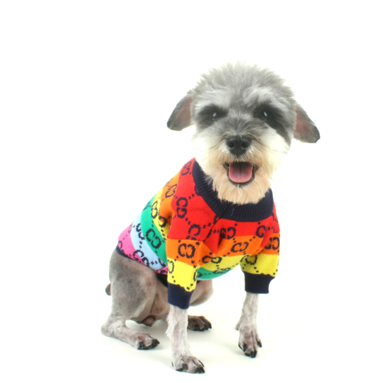 Pet G Multicolor Dog Sweater