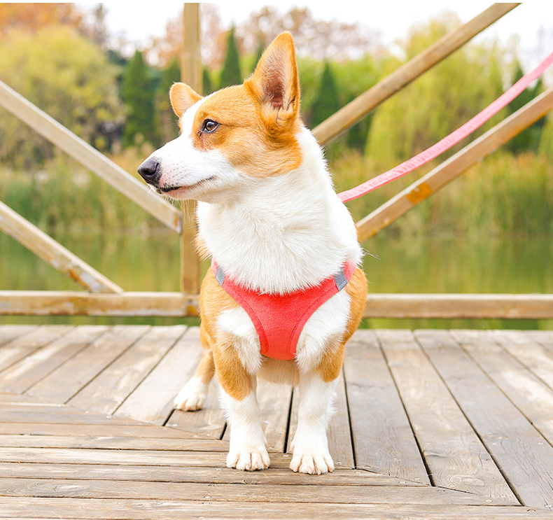 Pet Harness Set Manufacturer Reflective Breathable Multidesign Big Pet Dog Harness