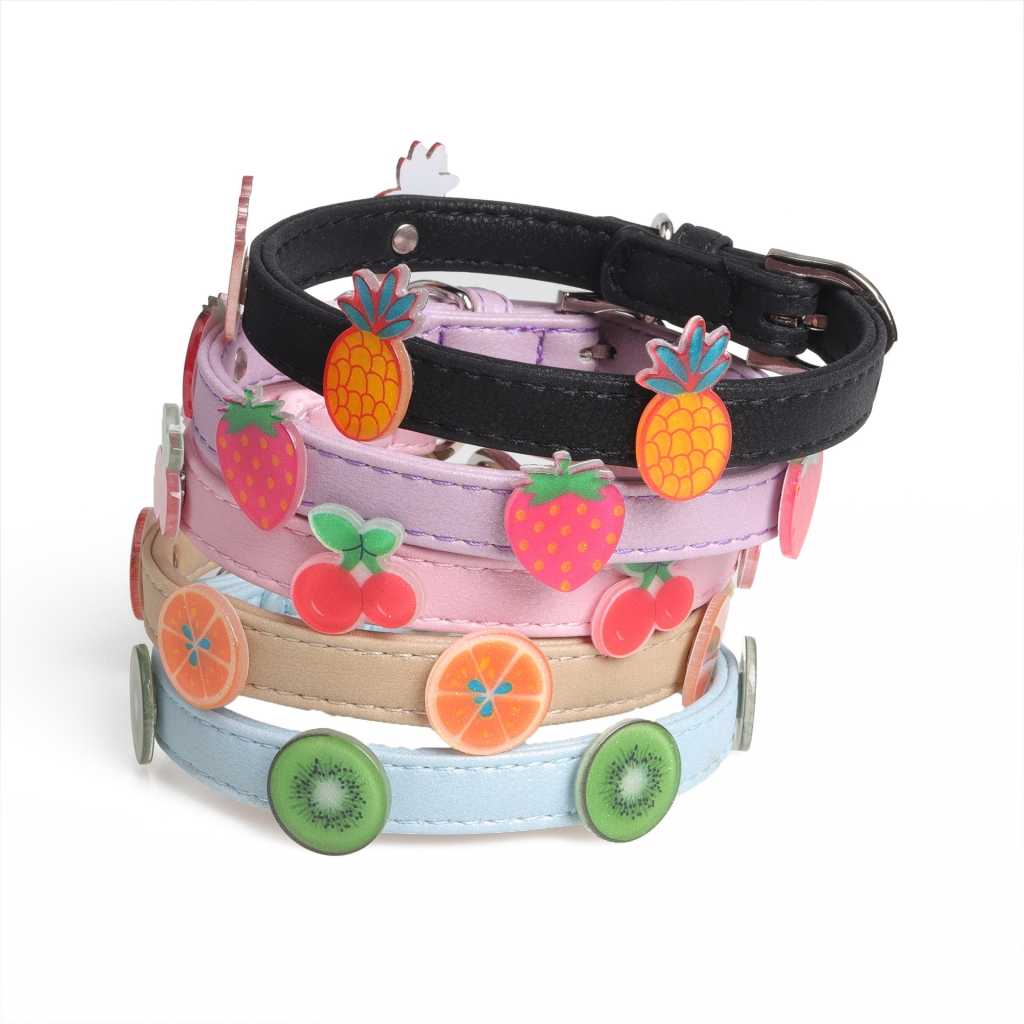 Pet Leash Dog Collars Customized Dog Collar Leashes