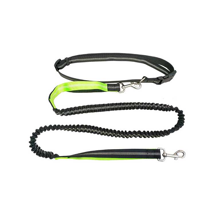 Pet Nylon Pet Bungee Leash Dog Pet Leash Reflective Retractable Dog Leash Running Walking Hiking