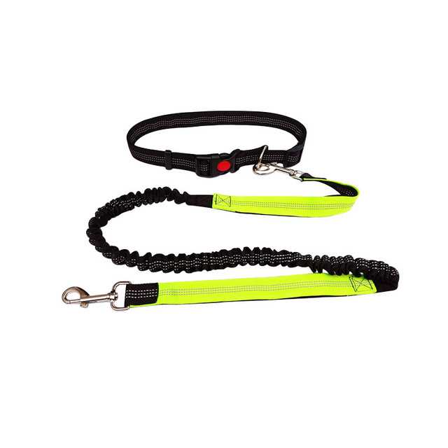 Pet Nylon Pet Bungee Leash Dog Pet Leash Reflective Retractable Dog Leash Running Walking Hiking