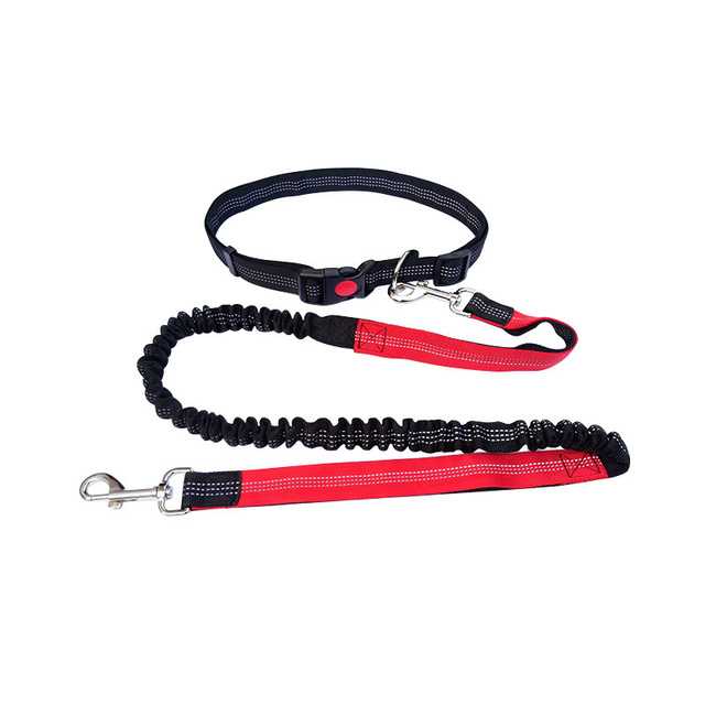 Pet Nylon Pet Bungee Leash Dog Pet Leash Reflective Retractable Dog Leash Running Walking Hiking