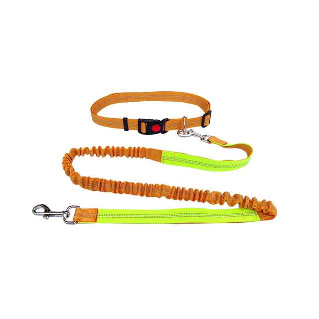 Pet Nylon Pet Bungee Leash Dog Pet Leash Reflective Retractable Dog Leash Running Walking Hiking