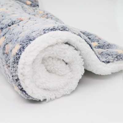 Pet Products Blanket Dog Nest Mat Flannel Dog Blanket Autumn Winter Warm Sherpa Dog Blanket