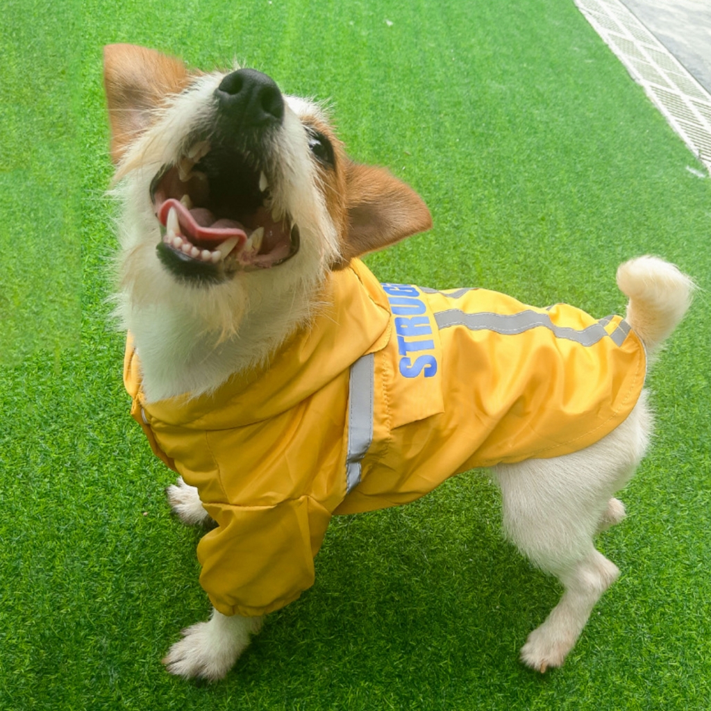 Pet Raincoat Reflective Strip Hooded Dog Clothing Waterproof Folding Direct Pet Clothing